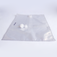 Sac en plastique transparent robuste en gros avec options de valves multiples pour le stockage commercial de vin, de jus et de liquides industriels