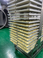 Segments de durian lyophilisés biologiques sans sucre ajouté, collation saine végétalienne, sans OGM, croustillants, fruits de durian FD