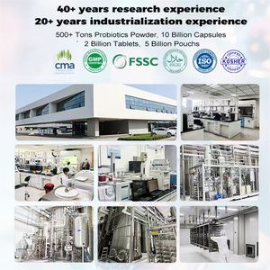 <span class=keywords><strong>Lactobacillus</strong></span> Casei CCFM419 de Alta Potencia, Polvo de Probióticos, Materia Prima para Suplementos para la Salud - Product Image 3