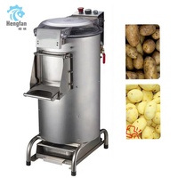Automatische Aardappelrumbler Dunschiller En Wortelschilmachine Fruit-En Groenteverwerker