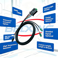 A00006 BeiXing Kabel Harness Mobil Kustom untuk Otomotif, Inti Tembaga PVC IP66 12V 860mm