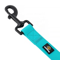 Collier et laisse de chien de PVC faits sur commande imperméables résistants durables en gros