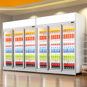 Refrigerador Vertical Personalizable de Bajo Consumo con Luz LED, Refrigerador de Una Puerta para Cantinas, Refrigerador de Exhibición C - Product Image 4
