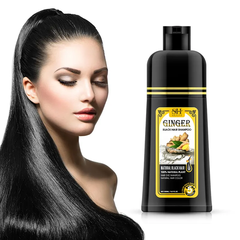 Private Label Black Shampoo Bottle with Pump Black Hair Dye Shampoo for Gray Hair