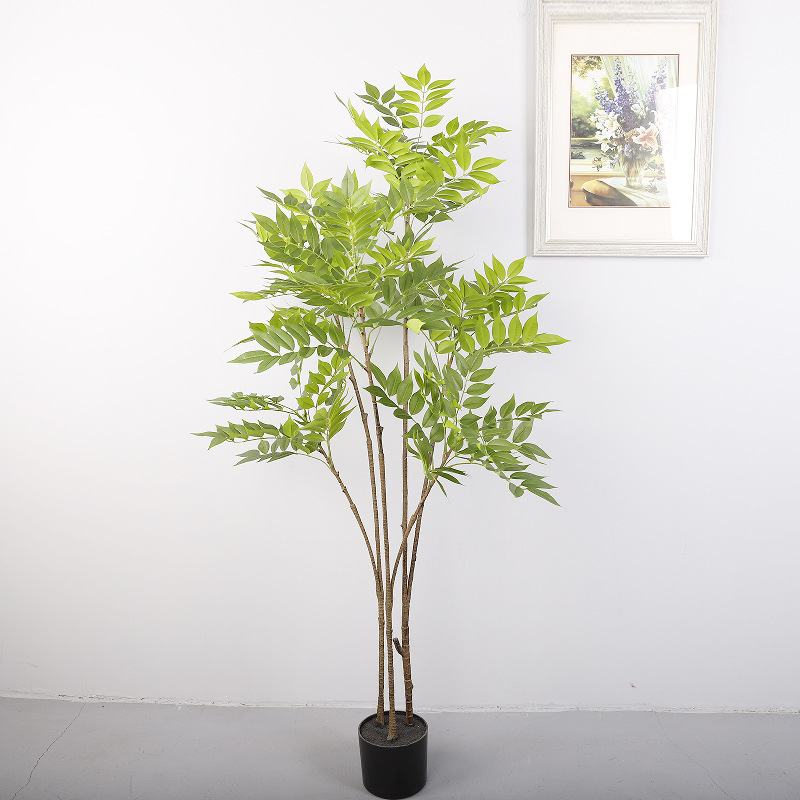 Arbre de toon chinois de 1,5 mètre de haut à 60 feuilles [vert]