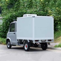 Camionnette frigorifique électrique légère à quatre roues pour livraison, petite boîte de chargement, à vendre