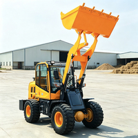 Chargeur sur pneus de haute qualité pour travaux de terrassement, Euro 5 CE EPA, agriculture, 4x4, mini-chargeur, puissance élevée, hydraulique