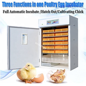 Pas cher Prix Venta <span class=keywords><strong>De</strong></span> Incubadoras Usadas Incubadora Ne Ovo Grande Capacité Incubateur Et Hatcher Dans Un - Product Image 4