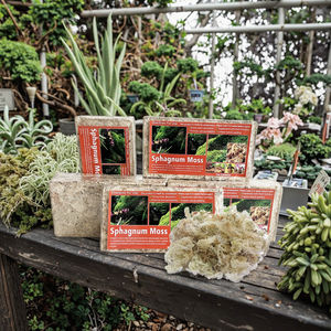 बगीचे की आपूर्ति के लिए उच्च गुणवत्ता वाले प्राकृतिक स्पग्नम मॉस - Product Image 1