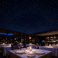 Kit d'éclairage de plafond à fibres optiques LED 5W pour restaurant, contrôle par application, effet ciel étoilé
