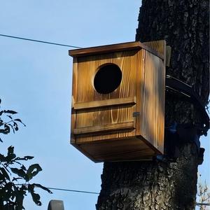 Casetta per Uccelli in Legno a Forma di Gufo, Leggera e Artigianale - Mangiatoia Grande per Uccelli da Esterno/Interno con Ingresso |   Casetta per Uccelli Resistente alle Intemperie per Giardino - Product Image 5
