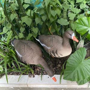 HDPE ed EVA in plastica a chiazze ventre <span class=keywords><strong>oca</strong></span> dalla fronte <span class=keywords><strong>bianca</strong></span>, esche per cacciatori di esche per il miglior prezzo - Product Image 5