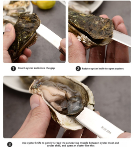 Cina vendita 304 in acciaio inox coltello ostrica piccolo strumento con manico in legno ispessito multiuso ostrica apertura gadget pratico - Product Image 6