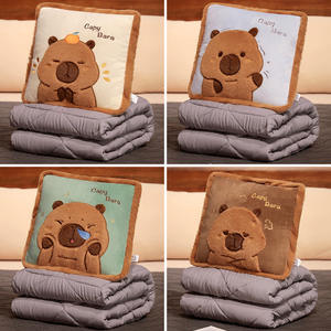 2025热销卡皮巴拉空调带毯二合一手提包两用午休空调 - Product Image 2