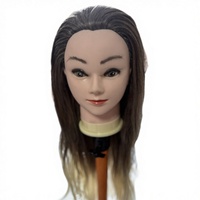 Tête de mannequin en cheveux synthétiques ombrés pour la pratique de la coiffure, tête de poupée pour la formation en coiffure pour les étudiants en cosmétologie
