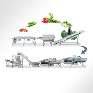 TCA Fully Automatic Washing Vegetable Cutter Machine Production Line Electric For Snow Peas Onions