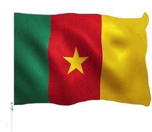 Bandera Argentina Ecológica de 3x5 pies, No Tóxica y Reciclable, Impresa con el Símbolo Nacional de Argentina, Diseño en Seda - Product Image 6