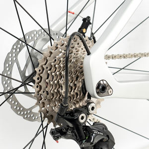 Vélo de route en fibre de carbone R10pro-Sport, 22 vitesses, freins à disque doubles, cadre rigide, prix bas, vélo de route sportif, vélo de course 700C - Product Image 6