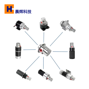 Kleine Permanente Magneetpomp Micro Hogedrukvloeistofoverdrachtspomp Mini Hydraulische 24V Dc Tandwieloliepomp Prijs - Product Image 6