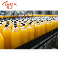Machine de remplissage automatique de bouteilles de jus de fruits 1000-5000 BPH, ligne de production haute efficacité pour le remplissage de liquides et de jus de fruits