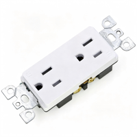 Cache-prise mural en plastique blanc 2 prises décoratives 120V 16A IP20 2 ports USB Type-C anti-effraction à intensité variable minimaliste
