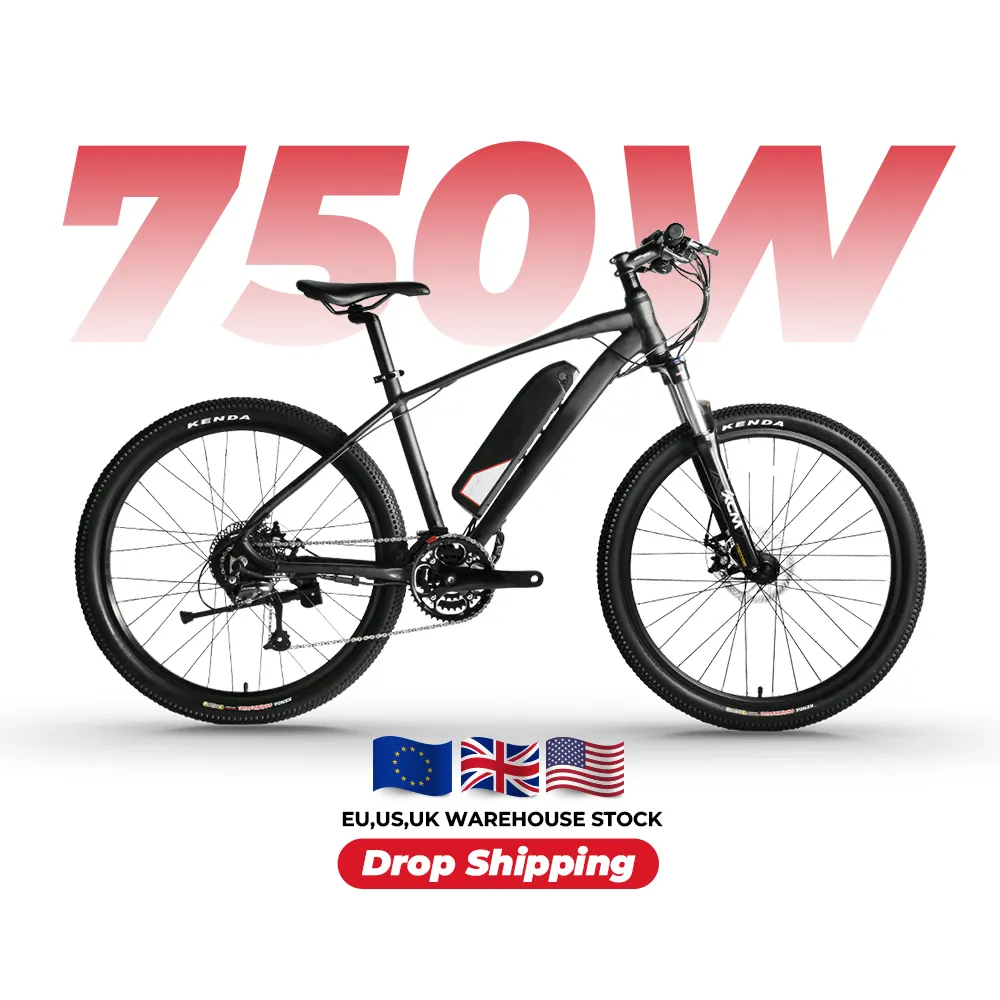 In Stock US 750w 20" E Cycle off-road Electric Mountain e Bike Moped High Speed UK Ready To Ship Full Suspension Eu Warehouse