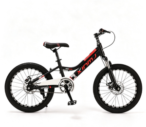 Mountain Bike - Bicicletta Fuoristrada Monovelocità con Freni a Doppio Disco e Ammortizzatori - Mountain Bike per Giovani - Product Image 1