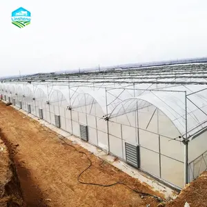customize plastic film greenhouse Agriculture Multi-Span Arch Plastic Film Greenhouse hydroponic Greenhouse for plant growing