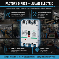 JLM6 MCCB Pemutus Sirkuit Tipe Cetak 2P 3P 4P 100A 250A 400A 630A AC400V Pengaturan Trip yang Dapat Disesuaikan Industri IEC60947-2
