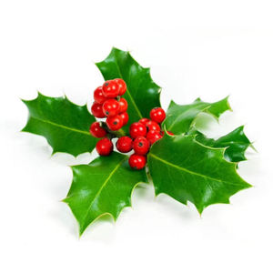 工場供給<span class=keywords><strong>100%</strong></span>純粋天然健康食品グレード多目的ウィンターグリーンオイルハーブエキス - Product Image 2