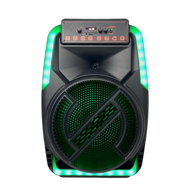 Rechargeable 15-Inch Trolley Outdoor Speaker with USB/TF/AUX/ RGB LED Built-in Mic for Beach Camping & Picnic