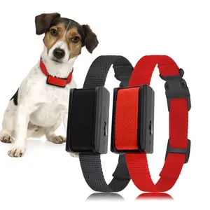 Hunde Leine Rutsch Retractable Dog Led Neck Collar Anti Barking Pet Accessories 2023 Collares Perros Tpu 6 Inch Products