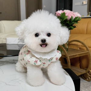 Chaleco Acolchado de Algodón con Estampado Floral Invernal para Perros Pequeños y Gatos, como Teddy, Bichón, Pomerania, Yorkshire, <span class=keywords><strong>Maltés</strong></span>, con Correa - Product Image 2