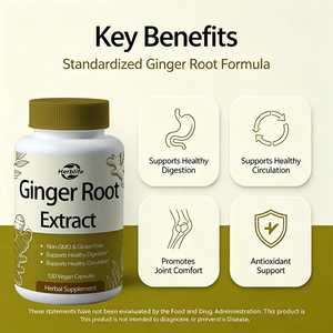 Cápsulas de Extracto de Raíz de Jengibre de Marca Privada OEM ODM 4:1, Cápsulas Veganas de Extracto de Jengibre, Apoyo a la Salud Digestiva, Apoyo Herbal - Product Image 4
