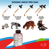 Défense Intestinale Naturelle pour Chiens : Nettoyant Herbal à l'Extrait de Noyer Noir et d'Origan – Favorise l'Équilibre de la Flore Intestinale, Soutient l'Immunité, Sûr