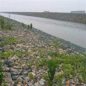 Galvanized PVC Coated Hexagonal <strong>Gabion</strong> 2.0*0.5*0.5 <strong>Steel</strong> Wire Mesh Twill Weave Construction Durable Woven Technique - Product Image 3