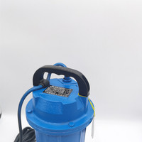 Pompe submersible solaire 24v dc pour déchets d'égout, avec cutter pour l'irrigation, pompe à eau solaire