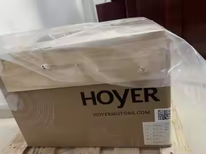 Motores Hoyer IE3 de 220/380/415/440/660 V, 45 kW, 75 kW, 90 kW, 1000 RPM, Motor de Inducción Trifásico, IP55 TEFC, 50/60 Hz - Product Image 4