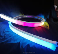 5 mètres de bande LED intelligente en silicone 40mm de largeur 5050 pixels RVB linéaire Led Neon Solutions d'éclairage pour galerie d'art