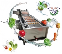 Hoge kwaliteit sinaasappel citroen aardbei fruitreinigingsapparatuur bubbelwasmachine met beste prijs