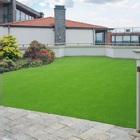 Gazon artificiel de haute densité sans remplissage, tapis de jardin, 20mm