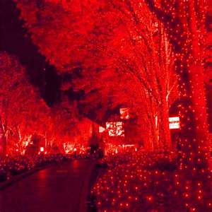 Guirnalda de Luces Gloca de 300 LED, 30 Metros, Cable Blanco, Luz Roja, IP65, Decoración Interior y Exterior - Product Image 6