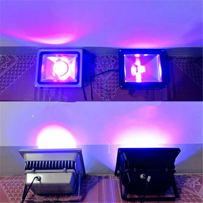 Hot Uv Curing Lamps 10W 20W 50W 100w 150w 200w 500w High Power UV Ultraviolet Blacklight IP65 Waterproof Led UV Flood Light 80