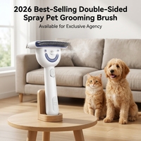Brosse démêlante et anti-chute pour animaux de compagnie 2026, à vapeur, double face, pour chiens et chats à poils longs, avec batterie lithium-ion – Vente en gros