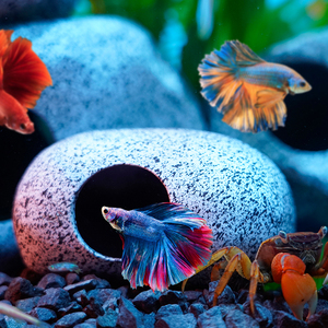 Stenen <span class=keywords><strong>Aquarium</strong></span> Visbak Landschapsarchitectuur Decoratie Paars Zand Vis Garnalen Schuilhuis - Product Image 3