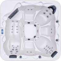Spa de luxe extérieur pour 6 personnes, en acrylique, avec jets de massage hydrothérapeutiques et éclairage LED, pour centre de spa à domicile