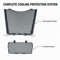 Juego de Protectores de Radiador y Enfriador de Aceite de Acero Inoxidable para BMW S1000RR 2019-2022 S1000R, Rejilla Protectora Modificada, Venta al Por Mayor