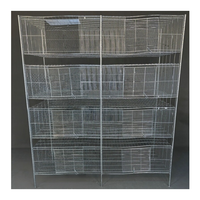Cage d'élevage de cailles robuste galvanisée à chaud pour l'élevage à petite échelle et les opérations d'élevage de volailles en arrière-cour