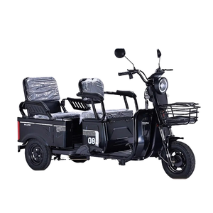 Triciclo Elettrico Falcon per Trasporto Merci, <span class=keywords><strong>Carrozzeria</strong></span> Aperta, Carico Utile 300-400kg, 2 Passeggeri, Alimentato a Batteria 48V, Autonomia 30-50km, Velocità 30km/h - Product Image 2