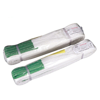 Sangle de levage en polyester sans fin avec cordon en fibre de 1 à 8 tonnes